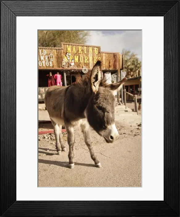 Framed Print : Oatman, Arizona, United States. Route 66 Framed Print : Oatman, Arizona, United States. Route 66