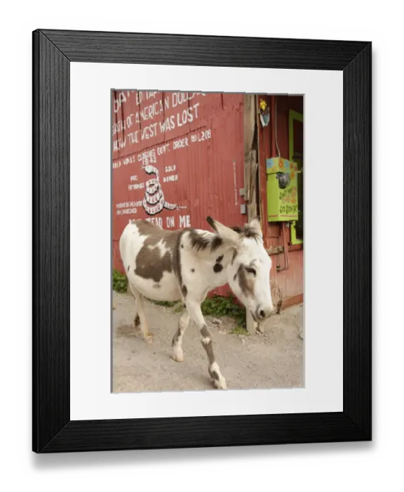 Framed Print : Oatman, Arizona, United States. Route 66 Framed Print : Oatman, Arizona, United States. Route 66