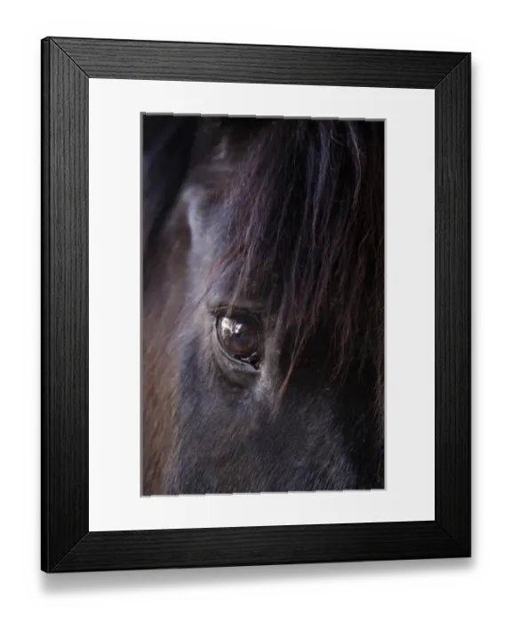 Framed Print : Tucson, Arizona, United States. White Stallion Dude Ranch Framed Print : Tucson, Arizona, United States. White Stallion Dude Ranch