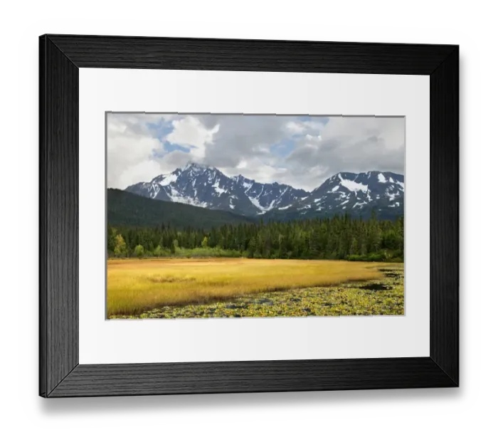 Framed Print : USA, Alaska, Kenai Peninsula. Early autumn landscape