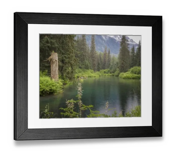 Framed Print : USA, Alaska, Tongass National Forest. Landscape with Beaver Pond on Fish Creek. Credit as