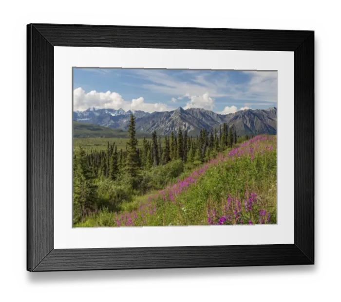 Framed Print : USA, Alaska. Landscape of Chucach Mountains Framed Print : USA, Alaska. Landscape of Chucach Mountains