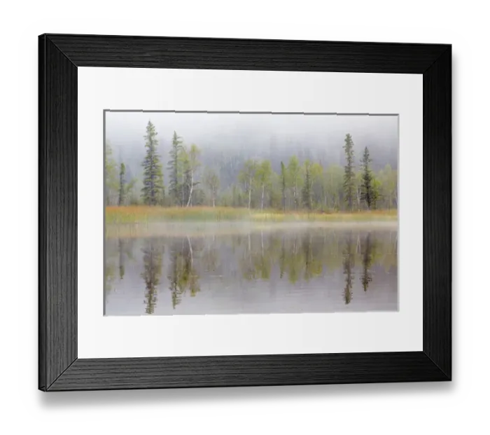 Framed Print : USA, Alaska, Little Lost Lake. Landscape with lake and foggy forest Framed Print : USA, Alaska, Little Lost Lake. Landscape with lake and foggy forest