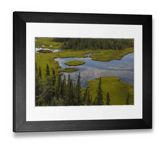 Framed Print : USA, Alaska. Landscape with Moose Pond. Credit as: Don Paulson  /  Jaynes Gallery  /  DanitaDelimont