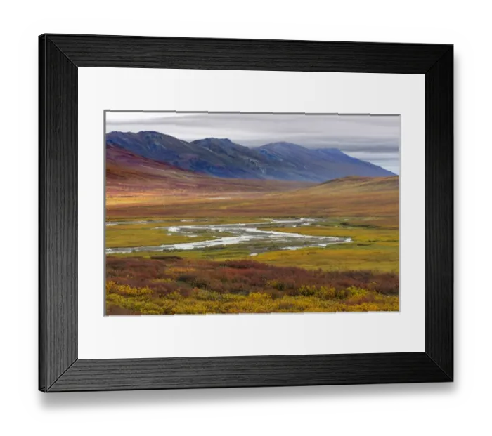 Framed Print : USA, Alaska, Brooks Range. Tundra in fall color Framed Print : USA, Alaska, Brooks Range. Tundra in fall color