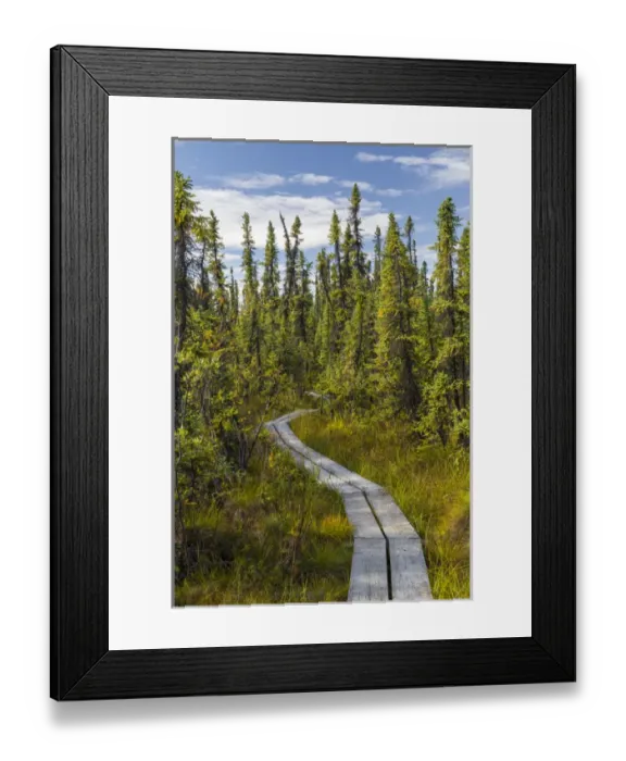 Framed Print : Alaska, Tetlin National Wildlife Refuge. Scenic of Hidden Lake Trail