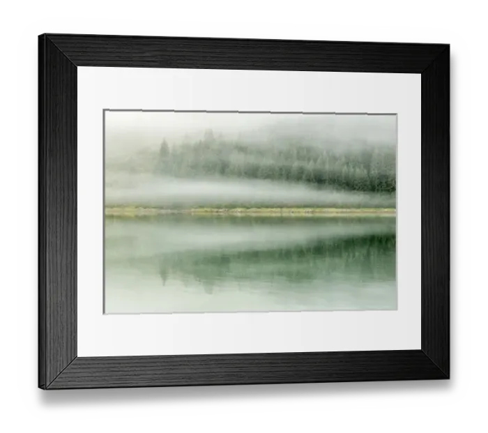 Framed Print : USA, Alaska, Tongass National Forest. Foggy shoreline and water reflection. Credit as Framed Print : USA, Alaska, Tongass National Forest. Foggy shoreline and water reflection. Credit as