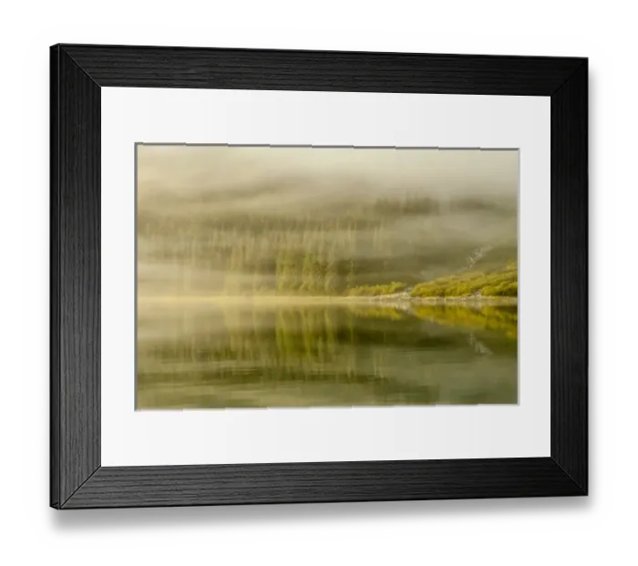 Framed Print : USA, Alaska, Tongass National Forest. Endicott Arm in fog