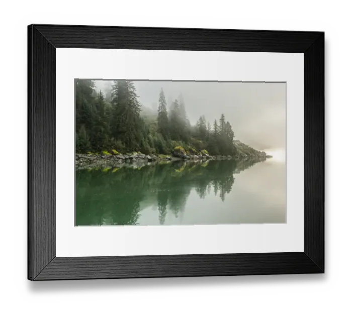 Framed Print : USA, Alaska, Tongass National Forest. Foggy shoreline and water reflection. Credit as Framed Print : USA, Alaska, Tongass National Forest. Foggy shoreline and water reflection. Credit as