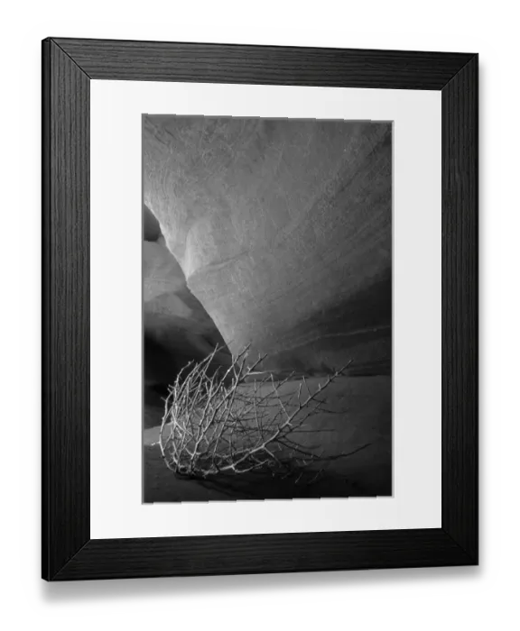 Framed Print : USA, Arizona, Page, Tumbleweed on ledge in antelope canyon