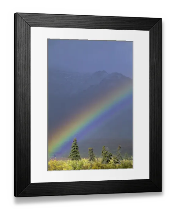 Framed Print : USA, Alaska, Rainbow, Tundra, Fall, Denali National Park Framed Print : USA, Alaska, Rainbow, Tundra, Fall, Denali National Park
