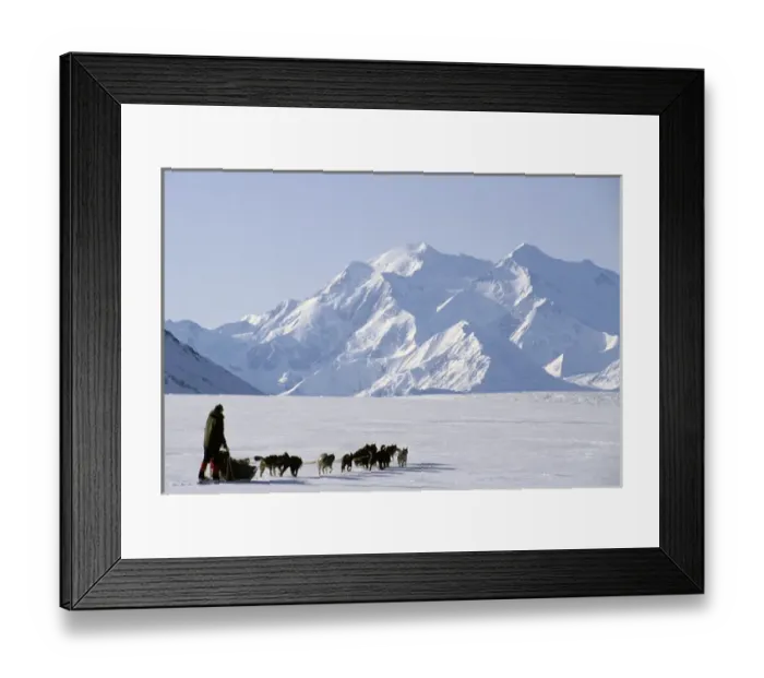 Framed Print : USA, Alaska, Sled Dogs, Park Ranger, Mount McKinley, Denali National Park