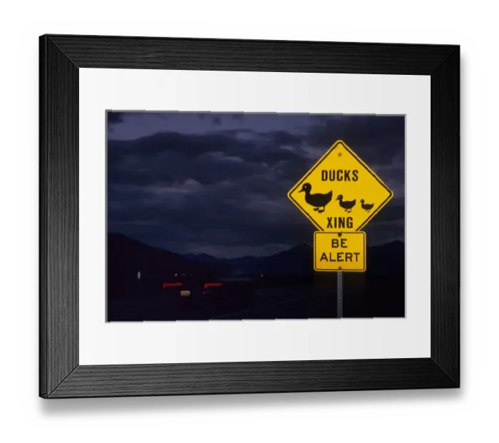 Framed Print : USA, Alaska, Duck Crossing Sign, Anchorage Framed Print : USA, Alaska, Duck Crossing Sign, Anchorage