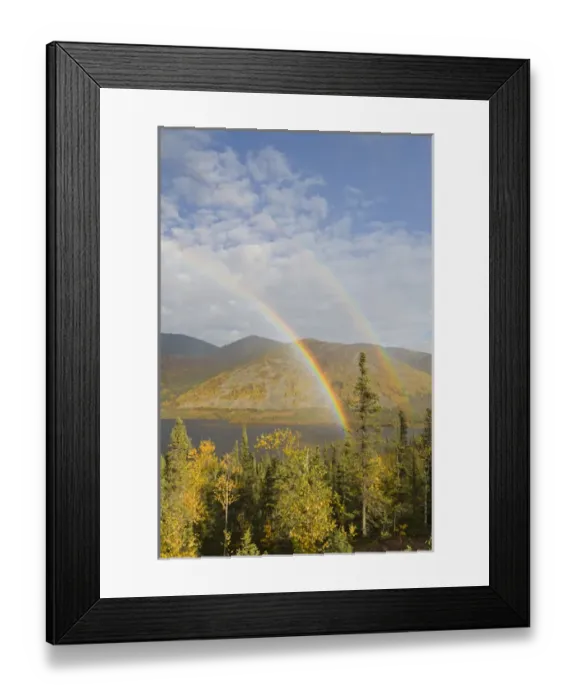 Framed Print : A rainbow arcs over autumn colors and Grayling Lake along the James Dalton Highway