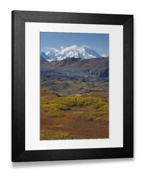 Framed Print : Mt. McKinley, tallest peak in North America towers 20, 320 over brightly colored Framed Print : Mt. McKinley, tallest peak in North America towers 20, 320 over brightly colored