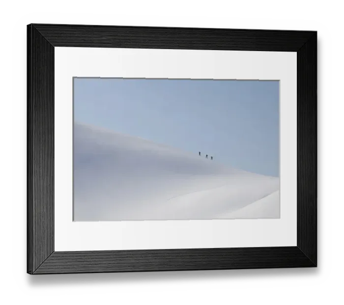 Framed Print : Antarctic krill, Euphausia superba, in the waters off the western Antarctic Peninsula