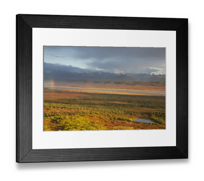 Framed Print : Denali National Park, Alaska, tundra on the north side of the Alaska Range turns Framed Print : Denali National Park, Alaska, tundra on the north side of the Alaska Range turns