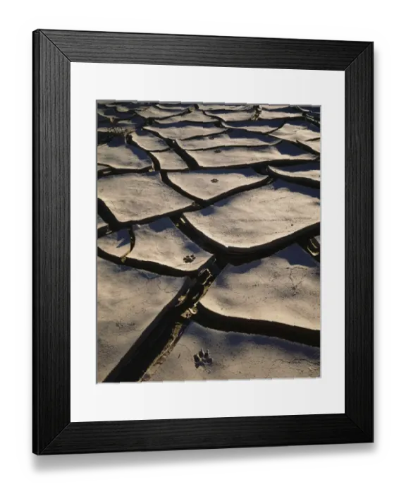 Framed Print : USA; CA. Coyote Footprints in Cracked Mud in Anza Borrego Desert State Park Framed Print : USA; CA. Coyote Footprints in Cracked Mud in Anza Borrego Desert State Park