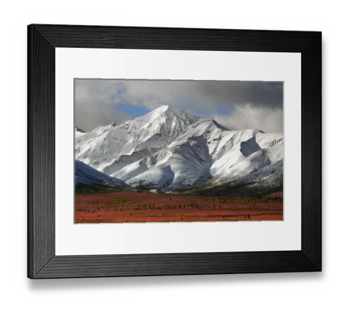 Framed Print : Autumn on the Taiga; Denali National Park; Alaska; USA Framed Print : Autumn on the Taiga; Denali National Park; Alaska; USA