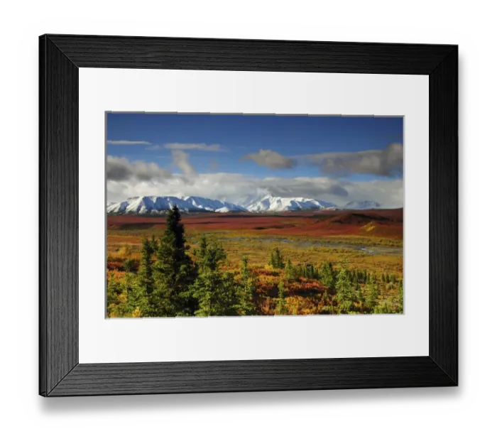 Framed Print : Alaska Range; Autumn; Taiga; Denali National Park; Alaska; USA Framed Print : Alaska Range; Autumn; Taiga; Denali National Park; Alaska; USA