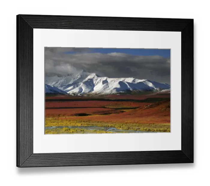 Framed Print : Alaska Range in Autumn; Taiga; Denali National Park; Alaska; USA Framed Print : Alaska Range in Autumn; Taiga; Denali National Park; Alaska; USA
