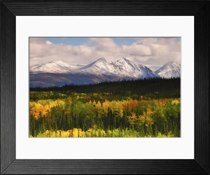 Framed Print : Alaska Range in Autumn; Taiga; Tundra; Denali National Park; Alaska Framed Print : Alaska Range in Autumn; Taiga; Tundra; Denali National Park; Alaska