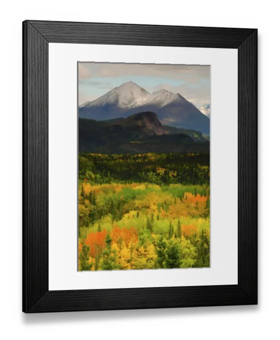 Framed Print : Alaska Range in Autumn; Taiga; Tundra; Denali National Park; Alaska; USA
