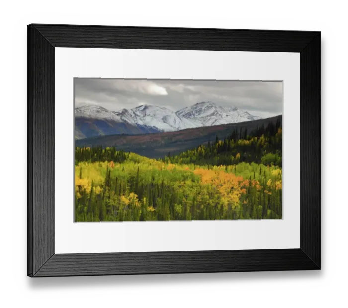 Framed Print : Alaska Range in Autumn; Taiga; Tundra; Denali National Park; Alaska; USA