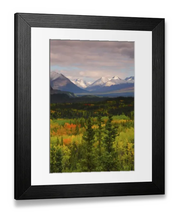 Framed Print : Alaska Range in Autumn; Taiga; Tundra; Denali National Park; Alaska; USAl Framed Print : Alaska Range in Autumn; Taiga; Tundra; Denali National Park; Alaska; USAl