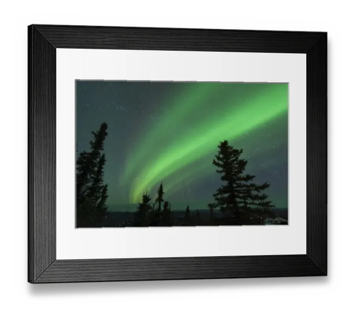 Framed Print : US, AK, Fairbanks. Dramatic curtain display of Aurora Borealis see from Ester Dome Framed Print : US, AK, Fairbanks. Dramatic curtain display of Aurora Borealis see from Ester Dome