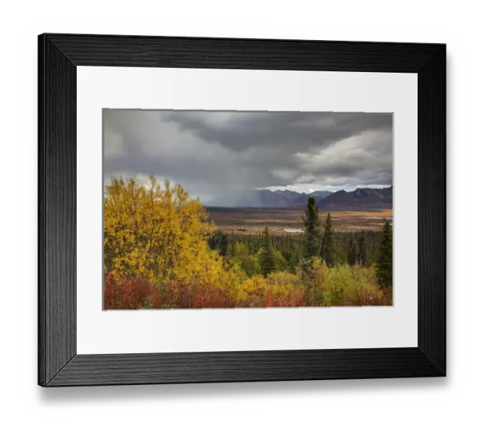 Framed Print : North America; USA; Alaska; Autumn Color along the Glennallen Highway Framed Print : North America; USA; Alaska; Autumn Color along the Glennallen Highway