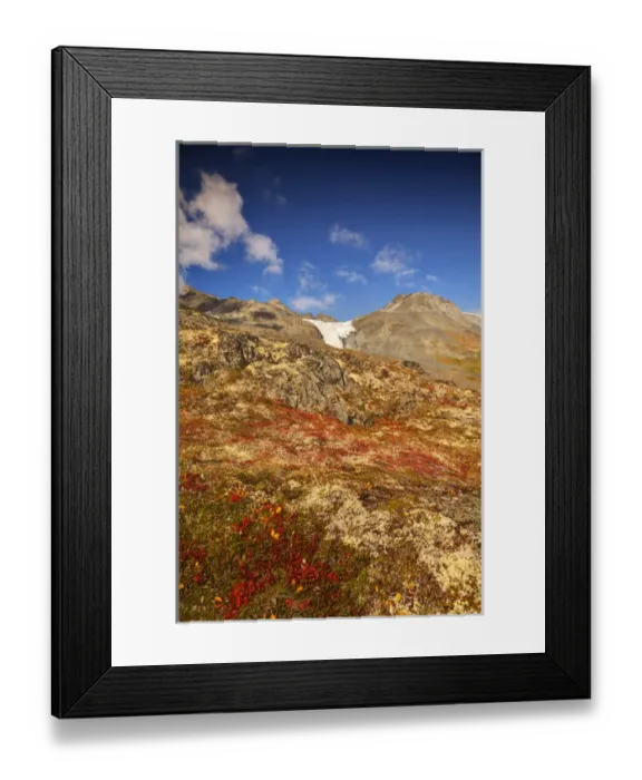 Framed Print : North America; USA; Alaska; Autumn Color along the Glennallen Highway Framed Print : North America; USA; Alaska; Autumn Color along the Glennallen Highway