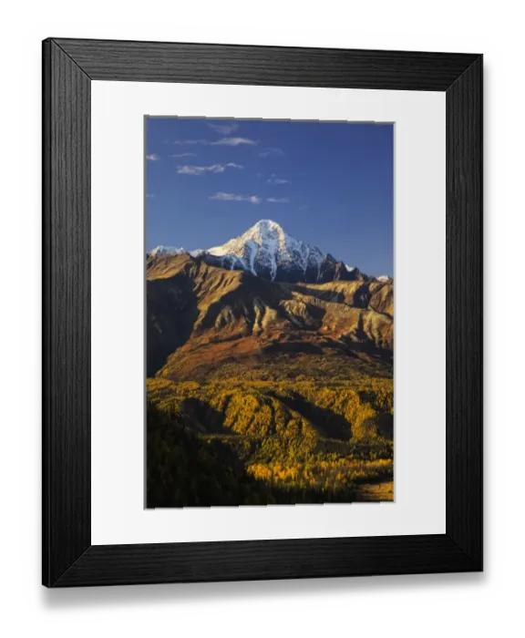 Framed Print : North America; USA; Alaska; On the Glennallen Hwy; Mountains and Autumn Color Framed Print : North America; USA; Alaska; On the Glennallen Hwy; Mountains and Autumn Color