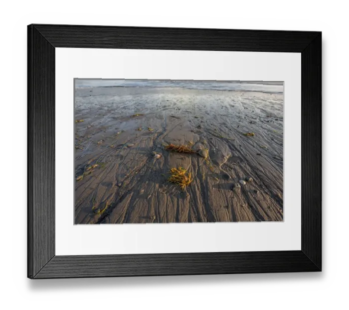 Framed Print : Low tide at sunrise. Lands End. Homer. Alaska Framed Print : Low tide at sunrise. Lands End. Homer. Alaska