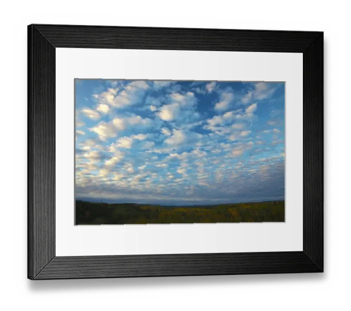 Framed Print : North America; USA; Alaska; Autum Color and Sky of Clouds in the Wrangell-St Framed Print : North America; USA; Alaska; Autum Color and Sky of Clouds in the Wrangell-St