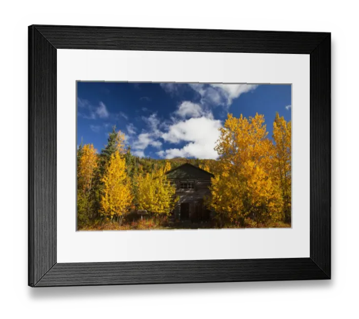 Framed Print : North America; USA; Alaska; Kantishna; Old Kantishna RoadHouse with Autumn Color Framed Print : North America; USA; Alaska; Kantishna; Old Kantishna RoadHouse with Autumn Color