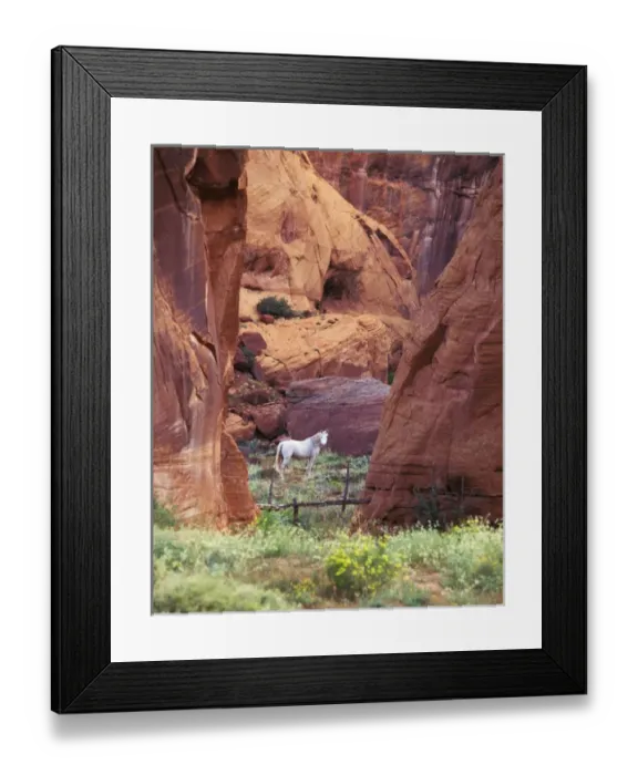 Framed Print : USA, Arizona, White Mountains, Canyon de Chelly, White horse, red rock