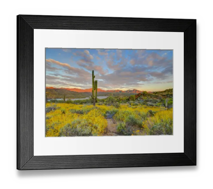 Framed Print : USA, Arizona, Lake Bartlett, Cave Creek. Sunset on desert landscape Framed Print : USA, Arizona, Lake Bartlett, Cave Creek. Sunset on desert landscape