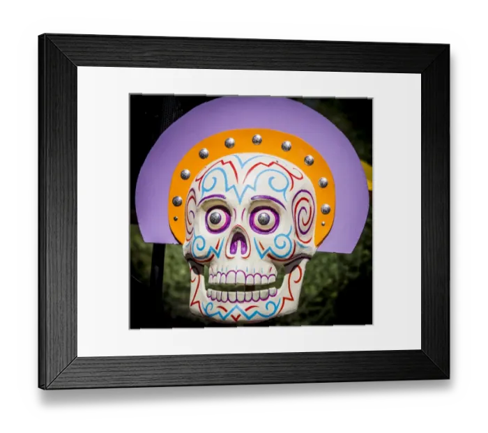 Framed Print : USA, Arizona, Phoenix, Desert Botanical Garden. Arty skull displayed at celebration Framed Print : USA, Arizona, Phoenix, Desert Botanical Garden. Arty skull displayed at celebration