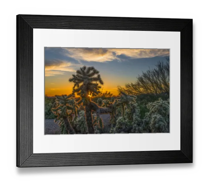 Framed Print : USA, Arizona, Tucson, Tucson Mountian Park Framed Print : USA, Arizona, Tucson, Tucson Mountian Park