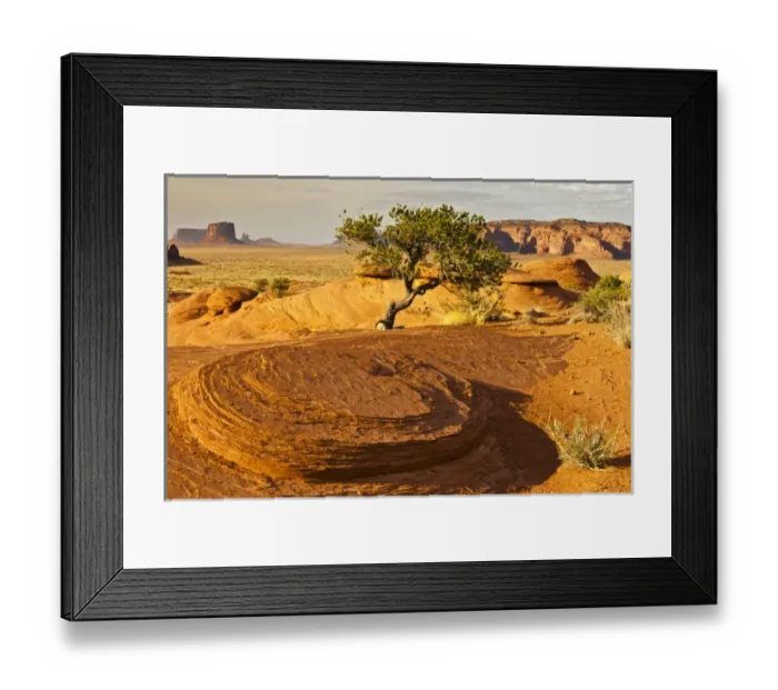 Framed Print : USA, Arizona, Monument Valley Navajo Tribal Park, Mystery Valley. Tree and arid landscape Framed Print : USA, Arizona, Monument Valley Navajo Tribal Park, Mystery Valley. Tree and arid landscape
