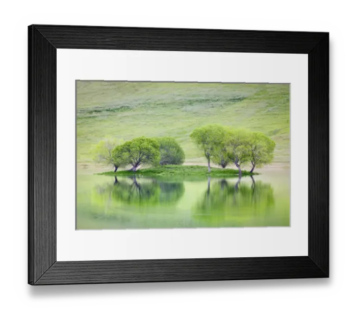 Framed Print : USA, California. Trees on island reflect in Black Butte Reservoir