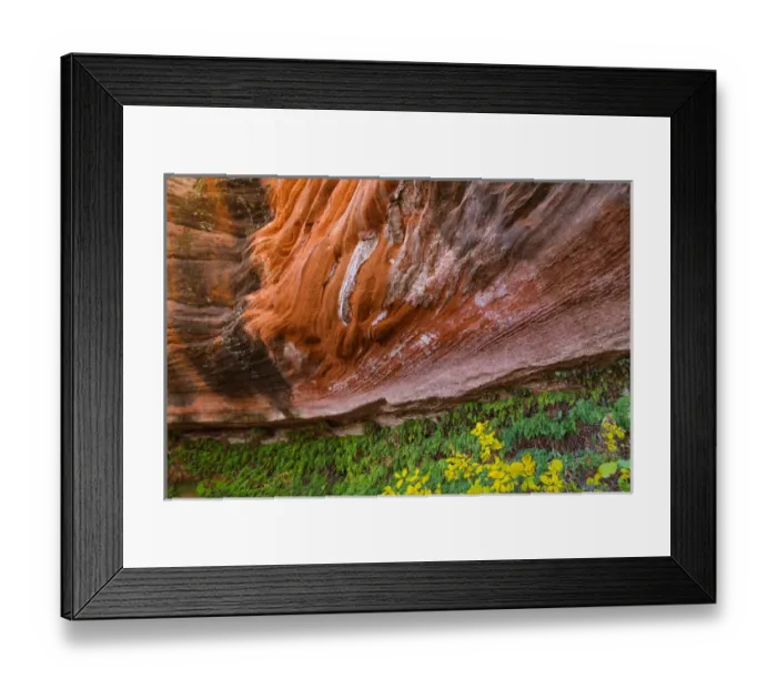 Framed Print : USA, Arizona. Hanging Garden in Canyon X. Credit as: Don Paulson / Jaynes Gallery / DanitaDelimont Framed Print : USA, Arizona. Hanging Garden in Canyon X. Credit as: Don Paulson / Jaynes Gallery / DanitaDelimont