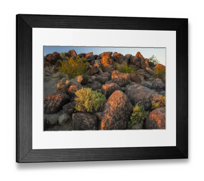 Framed Print : USA, Arizona, Painted Rock Petroglyph Site. Rocks covered with petroglyphs. Credit as