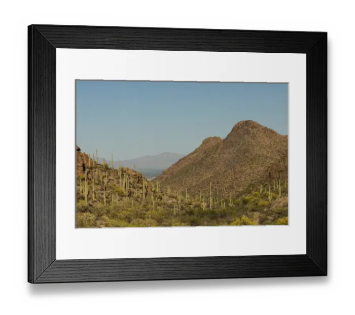 Framed Print : USA, Arizona, Saguaro National Park. Valley in desert landscape Framed Print : USA, Arizona, Saguaro National Park. Valley in desert landscape