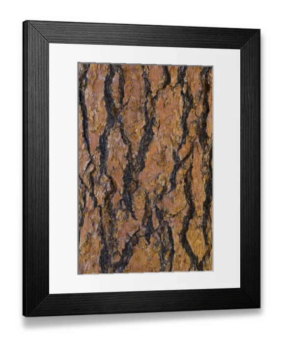 Framed Print : USA, Arizona, Grand Canyon National Park