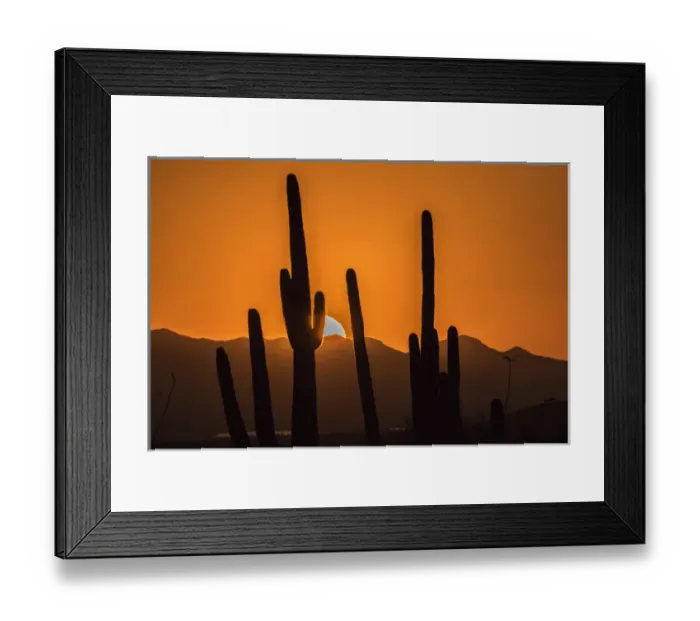 Framed Print : USA, Arizona, Tucson Mountain Park. Sonoran Desert at sunset Framed Print : USA, Arizona, Tucson Mountain Park. Sonoran Desert at sunset