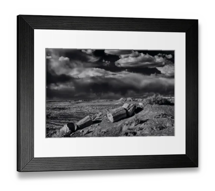 Framed Print : Fossilized and petrified trees are scattered throughout the Crystal Forest, Petrified Framed Print : Fossilized and petrified trees are scattered throughout the Crystal Forest, Petrified