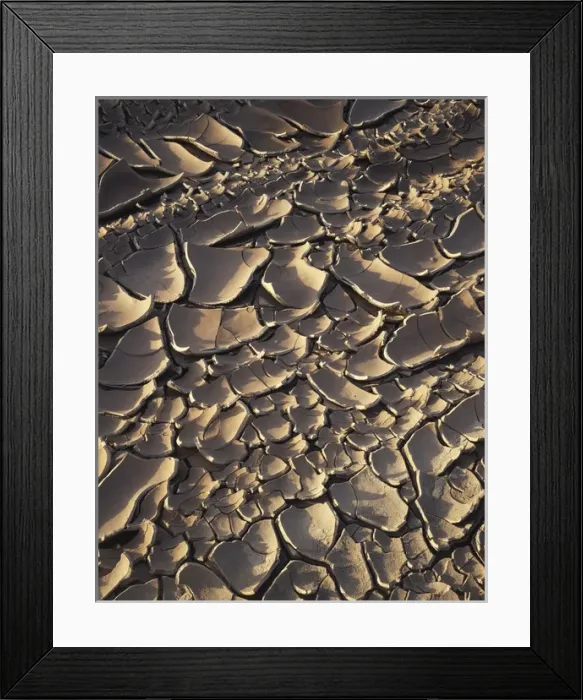 Framed Print : CTF-0845. USA, California, Anza-Borrego Desert State Park