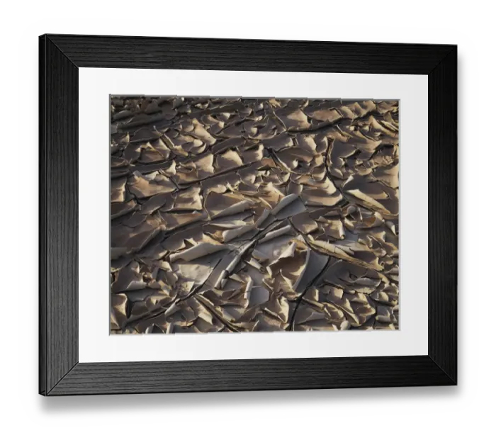 Framed Print : CTF-1146. USA, California, Anza-Borrego Desert State Park Framed Print : CTF-1146. USA, California, Anza-Borrego Desert State Park